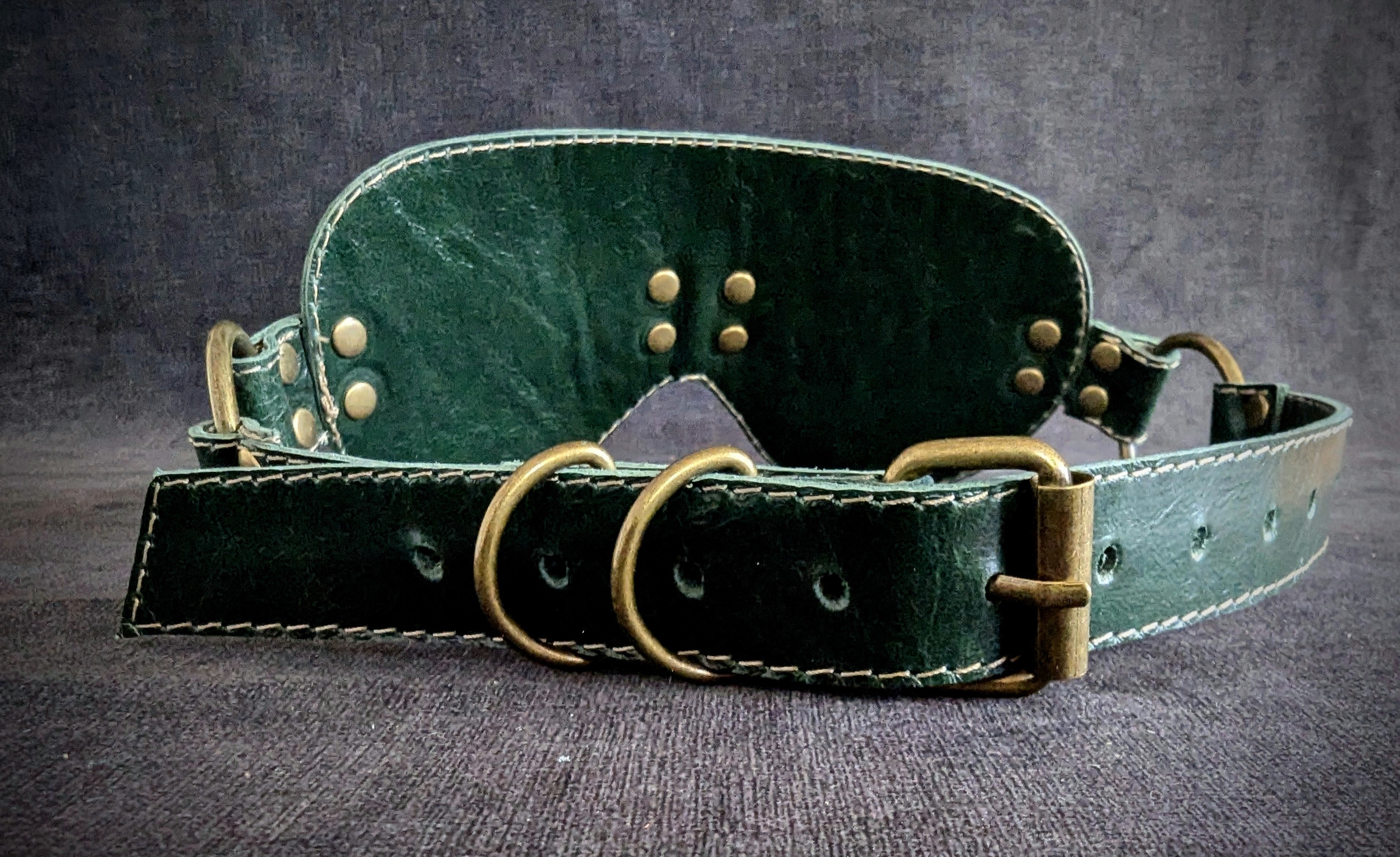 le loup- vert